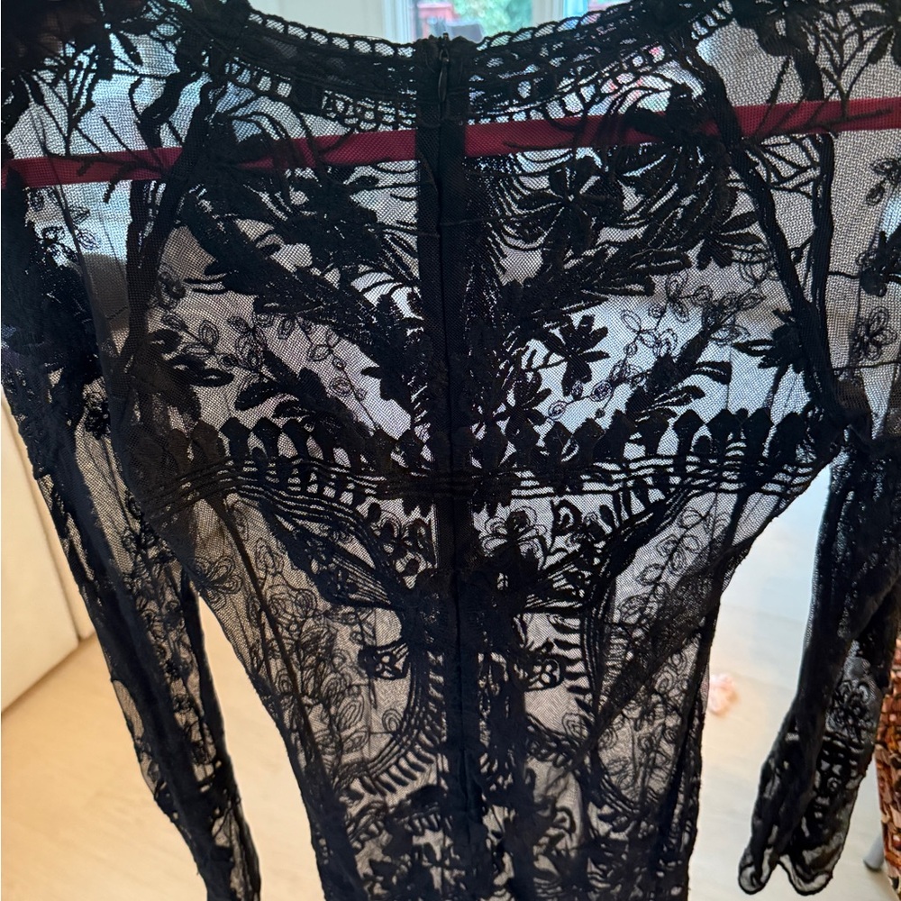 Honey Punch Black Sheer Lace Mini Dress